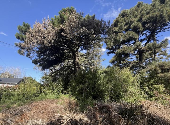 Terreno · 416m²