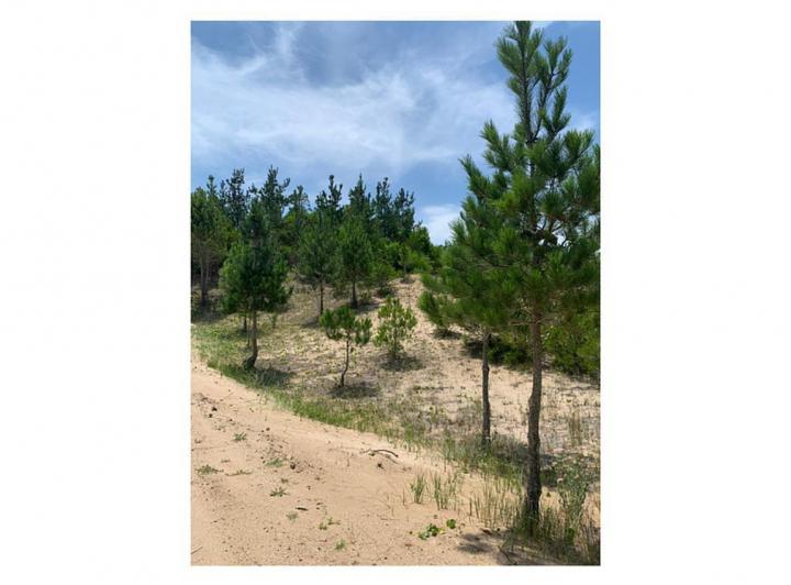 Terreno · 1160m²
