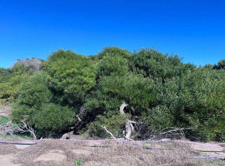 Terreno · 1270m²