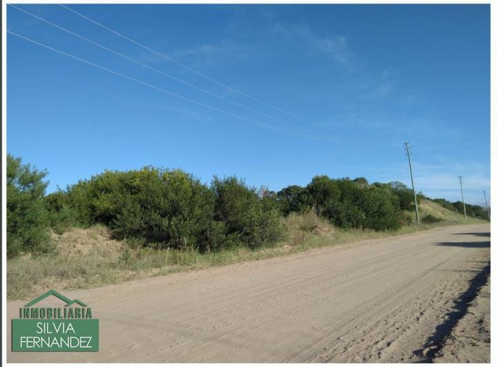 Terreno · 10000m²