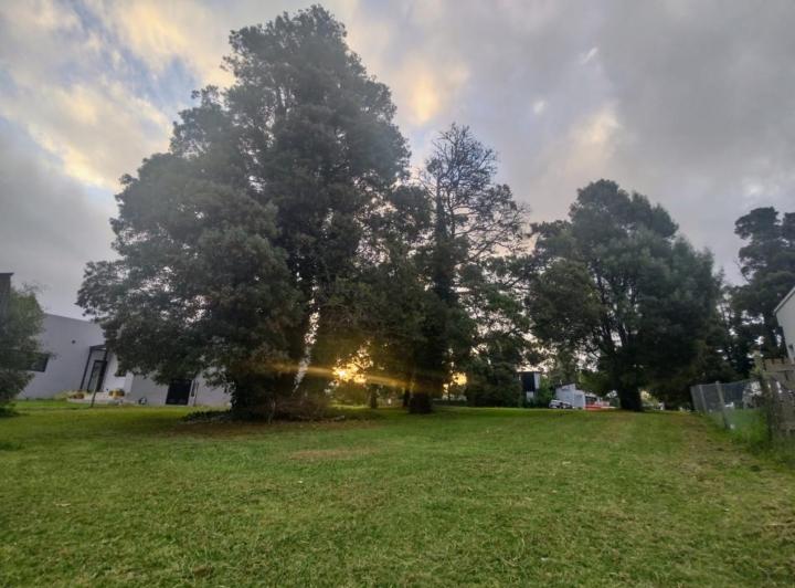 Terreno · 600m²