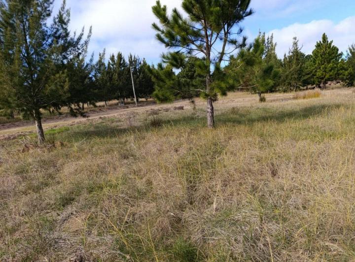 Terreno · 1000m²