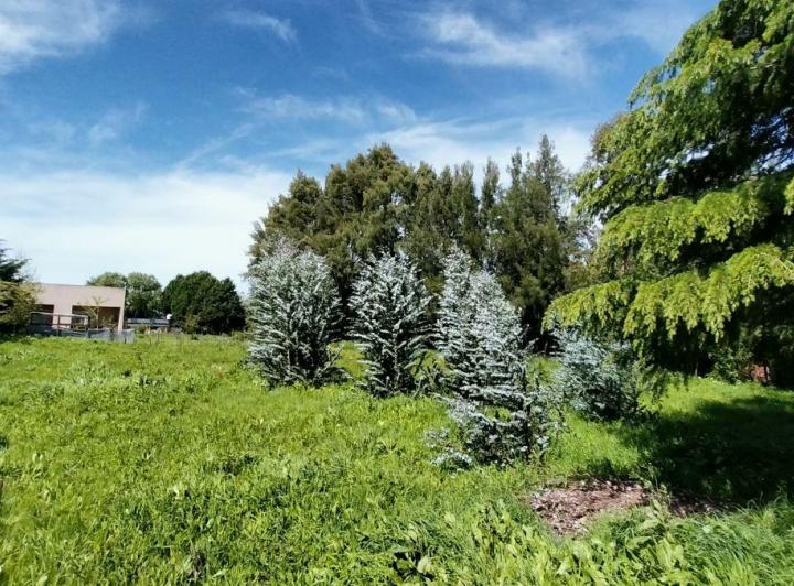 Terreno · 1204m²