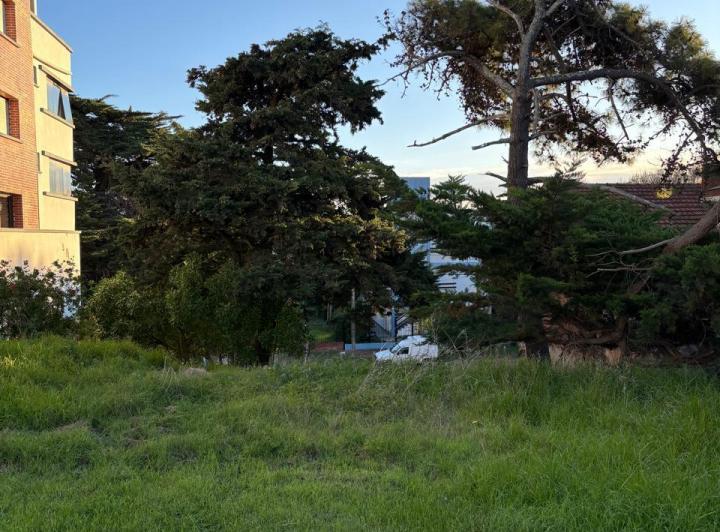 Terreno · 480m²
