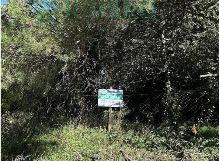 Terreno · 363m²