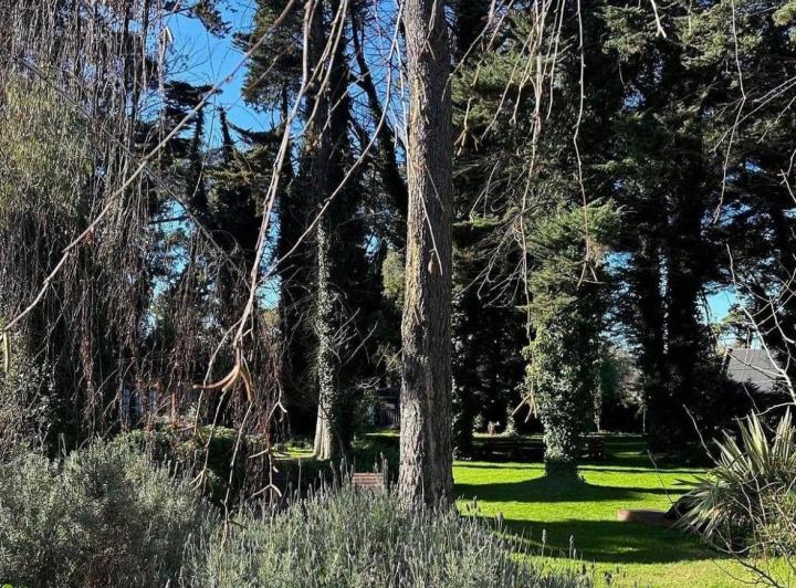 Terreno · 450m²