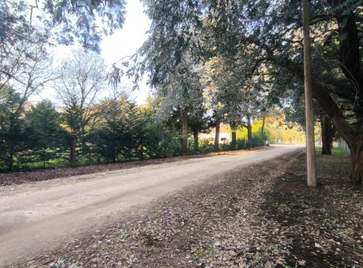 Terreno · 2016m² · 1 Ambiente