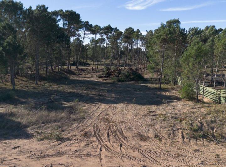Terreno · 1098m²