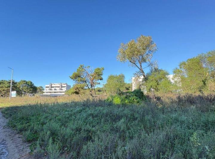 Terreno · 1726m²