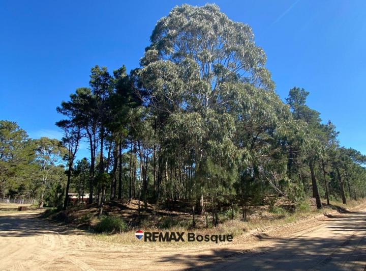 Terreno · 913m²