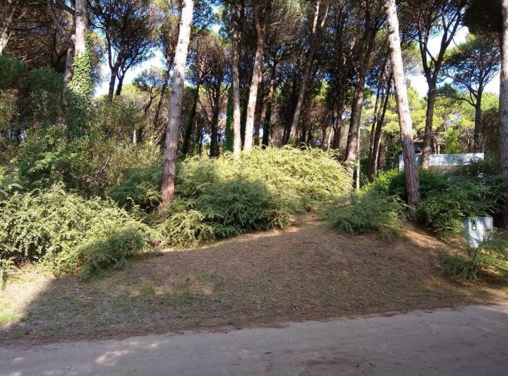 Terreno · 968m²