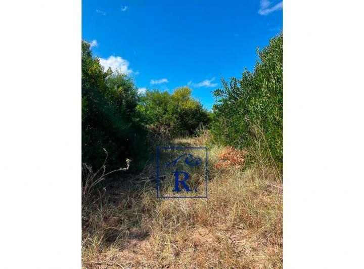 Terreno · 1600m²