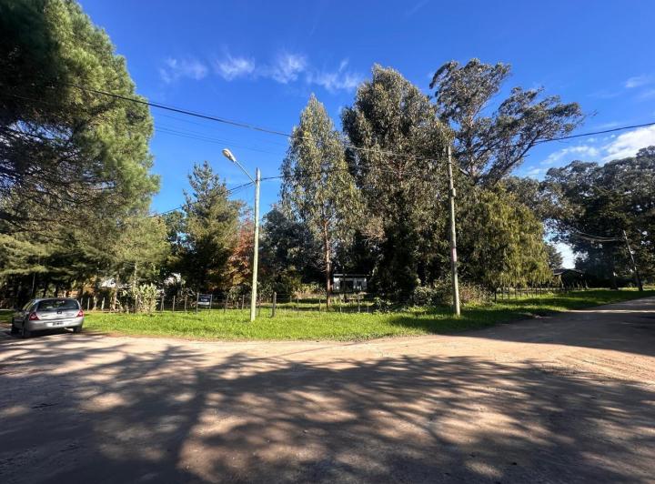 Terreno · 1517m²