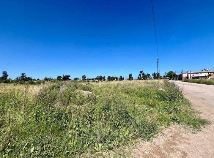 Terreno · 5989m²