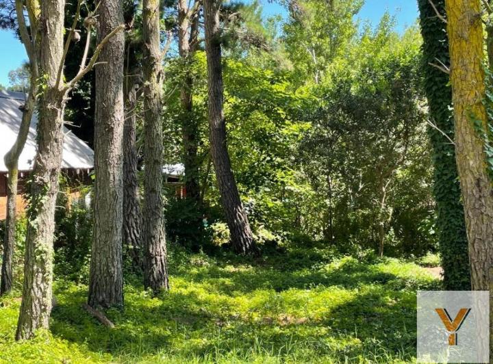 Terreno · 325m²