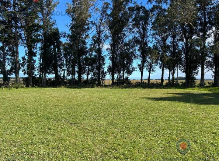 Terreno · 1257m²