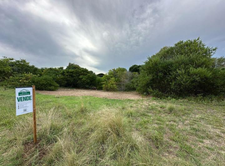 Terreno · 558m²