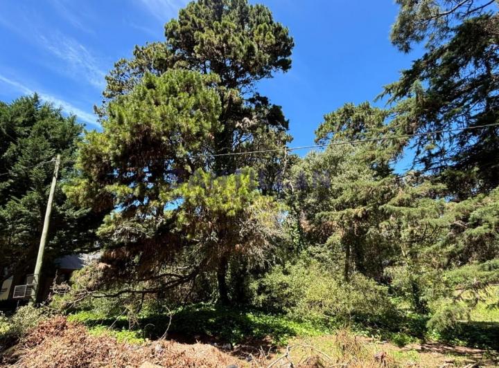 Terreno · 412m²