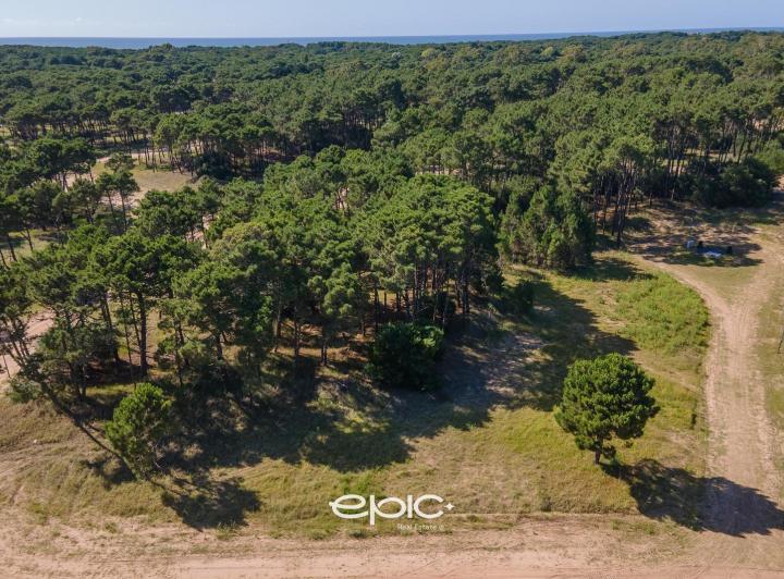 Terreno · 1074m²