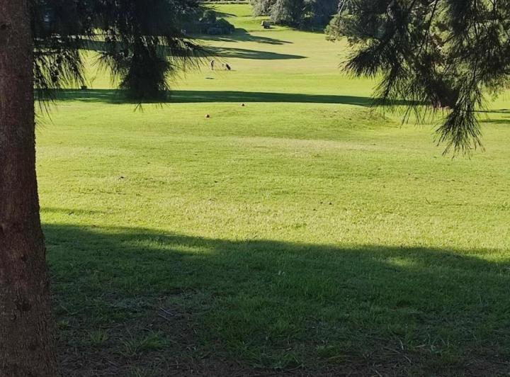 Terreno · 695m²