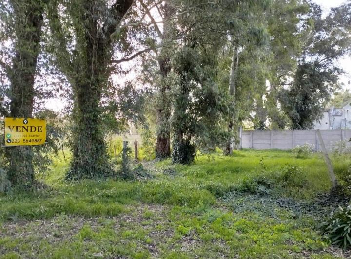 Terreno