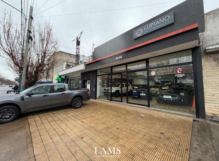 Local comercial · 375m²