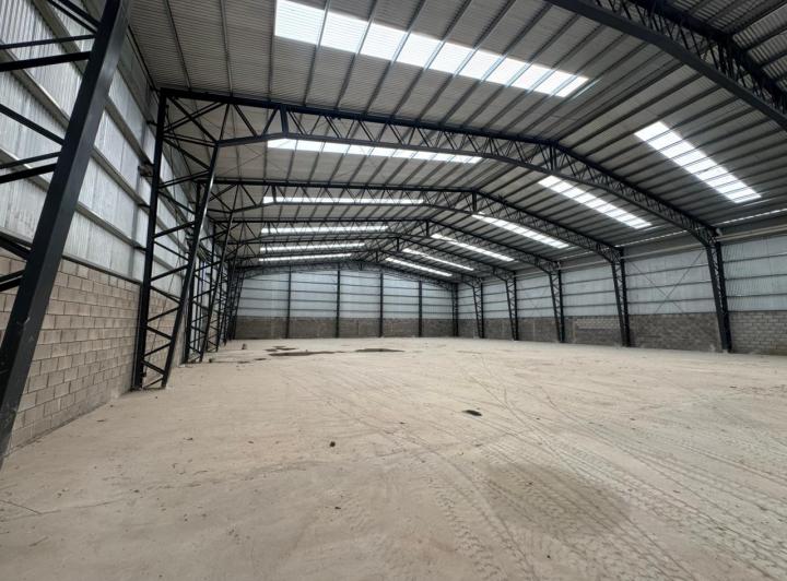 Local comercial · 1500m²
