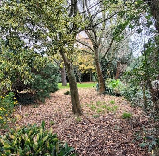 Quinta vacacional · 385m² · 6 Ambientes