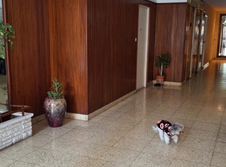 Departamento · 21m² · 1 Ambiente