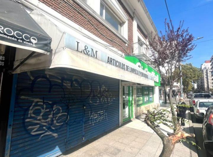 Local comercial · 45m² · 1 Ambiente
