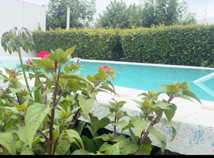 Casa · 150m² · 3 Dormitorios · 1 Cochera