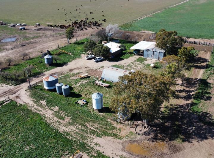 Campo · 6 Ambientes