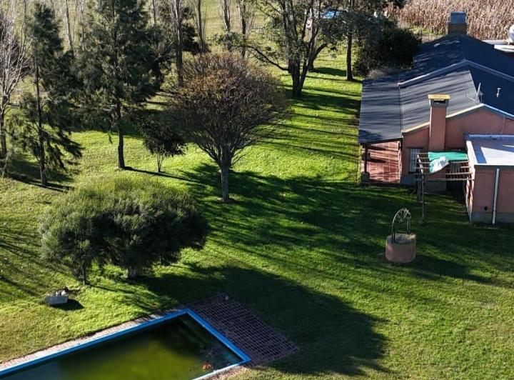 Campo · 200000ha