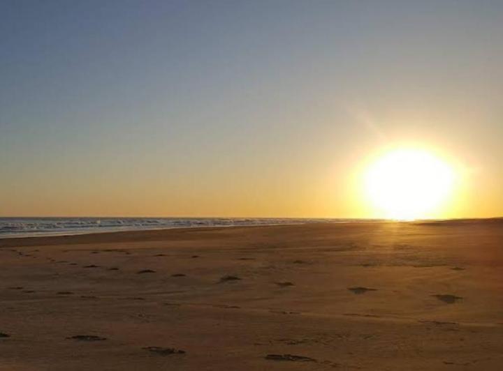 Campo · 1390000m²