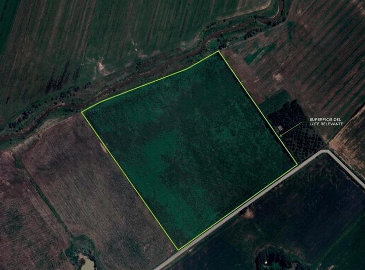 Campo · 20ha