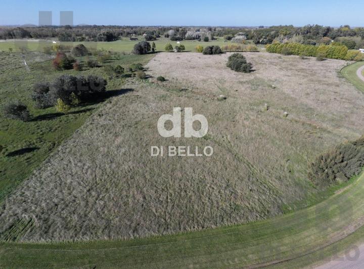 Campo · 39791m²
