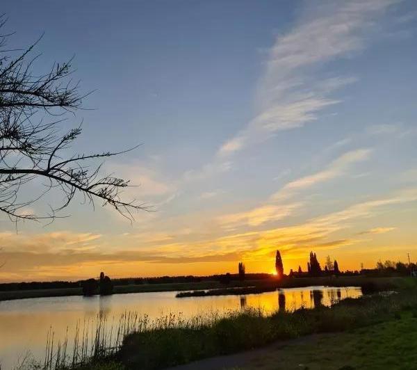 Campo · 200ha · 5 Ambientes