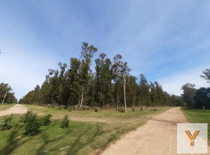 Terreno · 10000m²
