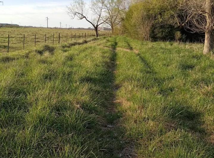 Terreno · 50m²