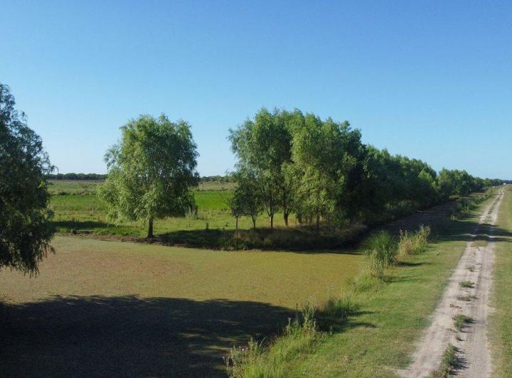 Terreno · 3600m²