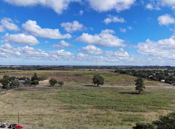 Campo · 12ha