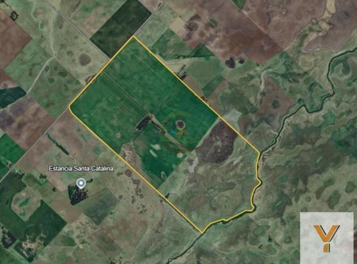 Campo · 3300000m²