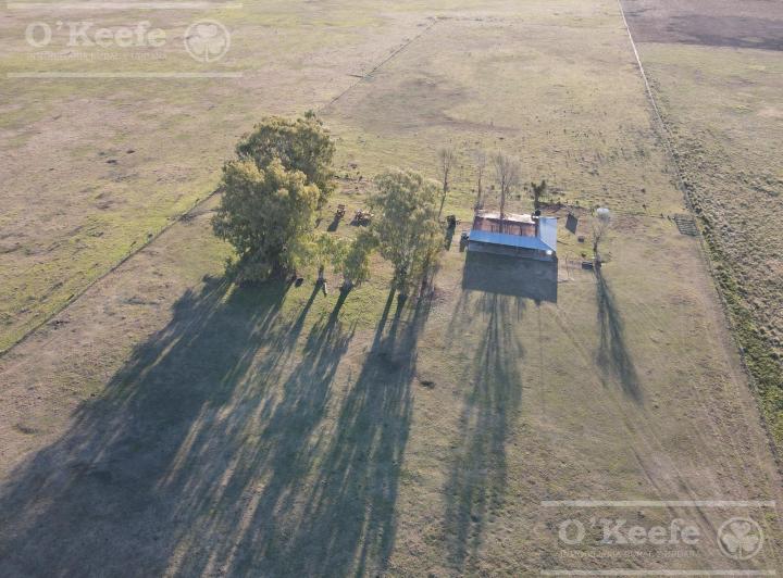 Campo · 13620000m²
