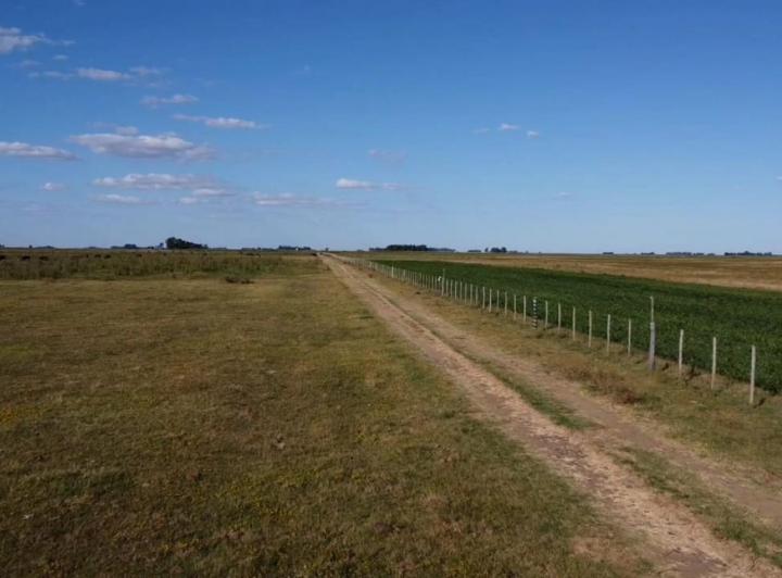 Campo · 188m²