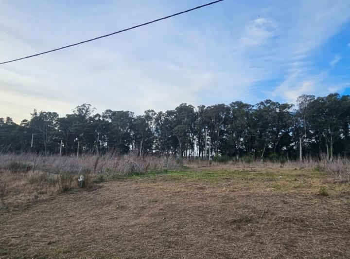 Terreno · 290m²
