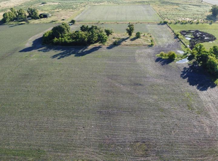 Campo · 200000m²