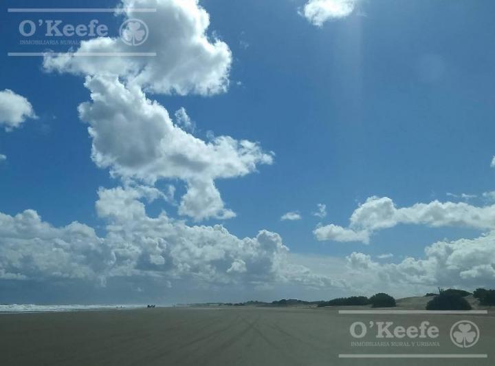 Campo · 1350000m²