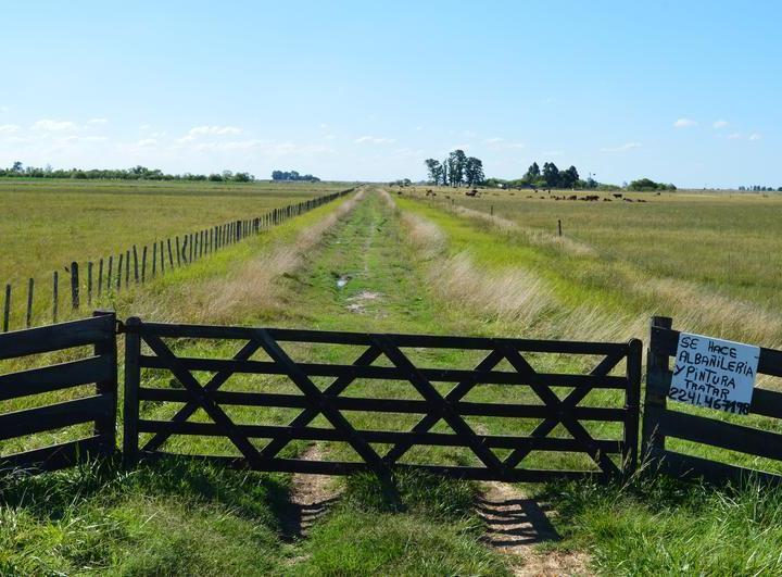 Campo · 710000m² · 3 Ambientes