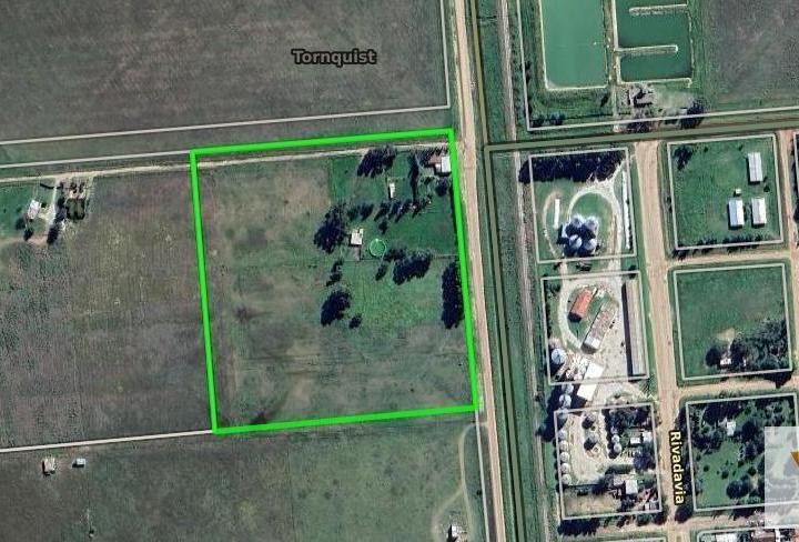 Campo · 50000m²