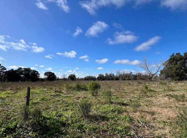 Campo · 49140m²